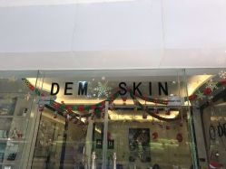 -DEM缔怡美科技美容