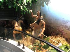 -广东中医药博物馆