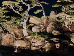 -罗红摄影艺术馆