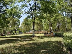-昆山城市生态森林公园