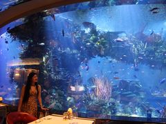 景观位-迪拜帆船酒店海底餐厅