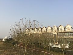 -紫颐香薰山谷景区