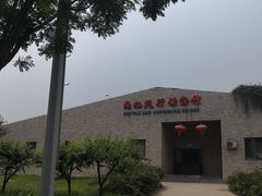 -石家庄市动物园