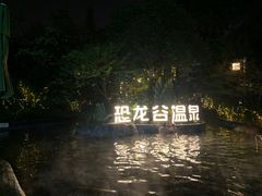 -常州环球恐龙城维景国际大酒店