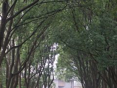 -同里国家湿地公园