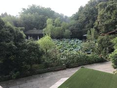 -西院1号(龙井店)