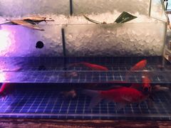 -AdD全日制餐厅(中谷花园酒店)