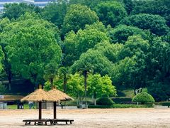 -滨湖塘西河公园