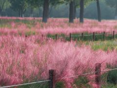 -汉长安城未央宫国家考古遗址公园