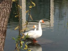 怡沁园度假村-上海怡沁园度假酒店