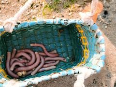 -北海金海湾红树林生态旅游区