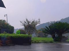 -安吉涵田度假村·龙倚楼咖啡厅