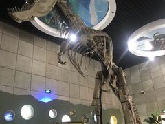 -诸城市恐龙博物馆