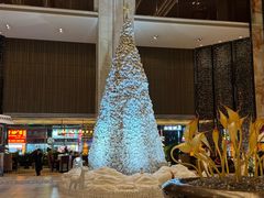 -中山利和希尔顿酒店