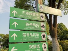 -荷塘月色湿地公园·向阳花洲