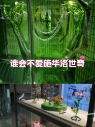 -SWAROVSKI(虹口凯德龙之梦店)