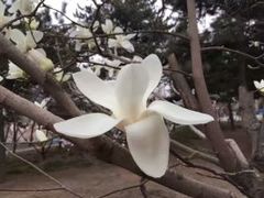 -长辛店二七公园