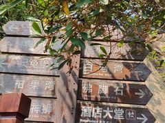 -那琴半岛地质海洋公园