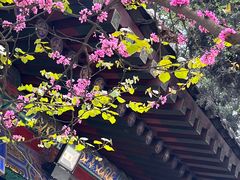 -西安市广仁寺