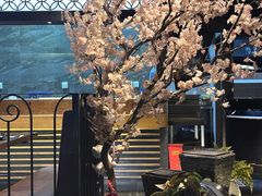 -品米斗·精致料理(浦东禹悦汇店)