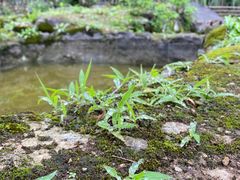 -MOJ coffee(瓯海泽雅水碓坑店)