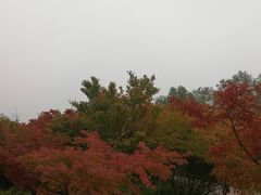 -西北农林科技大学(北校区)