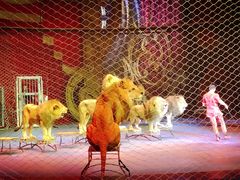 -珠海横琴长隆《卡卡虎奇遇记》