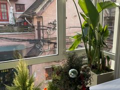 -蝶舍·MAISON PAPILLON