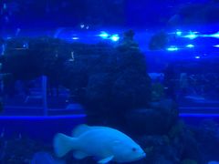 -成都浩海立方海洋公园