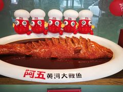 -阿五黄河大鲤鱼(英协路店)