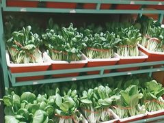 -天和晟烤鸭店(玉泉西街店)