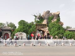-大槐树寻根祭祖园
