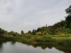 -南沙蒲洲花园
