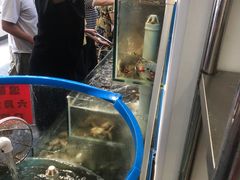 -仙螺岛海鲜自助餐厅(总店)