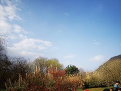 -贵阳市花溪国家城市湿地公园