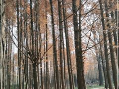 -达活泉公园