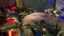 -恐龙探索乐园(磁器口店)