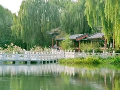 -马家湾湿地公园