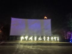 -枫花园汽车电影院(朝阳公园店)