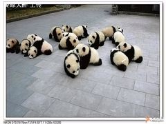 panda-元一希尔顿酒店·禅自助餐厅·啤酒花园