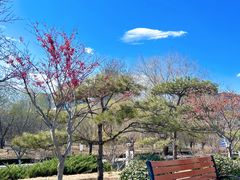 -元大都城垣遗址公园