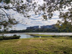 -华侨城湿地公园