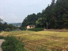 -韶山毛泽东同志故居