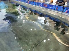 -鸿通城购物中心