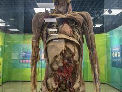 -国家自然博物馆