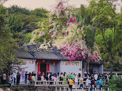 -深圳国际园林花卉博览园