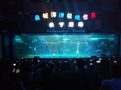-泉城欧乐堡海洋极地世界