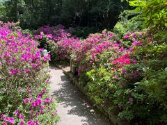 -南山风景名胜区