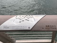 -星光大道