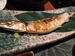 -新湖铂尔曼大酒店·日之升日餐厅